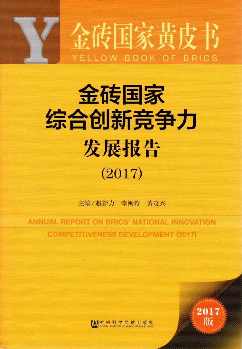 b被大jb插烂了视频金砖国家综合创新竞争力发展报告（2017）